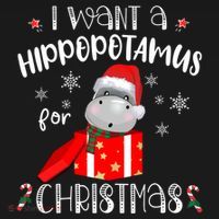 Hippopotamus For Christmas Matching Xmas Hippo Pajama Gift Women's Hoodie thumb 2
