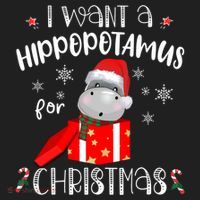 Hippopotamus For Christmas Matching Xmas Hippo Pajama Gift Hat thumb 2