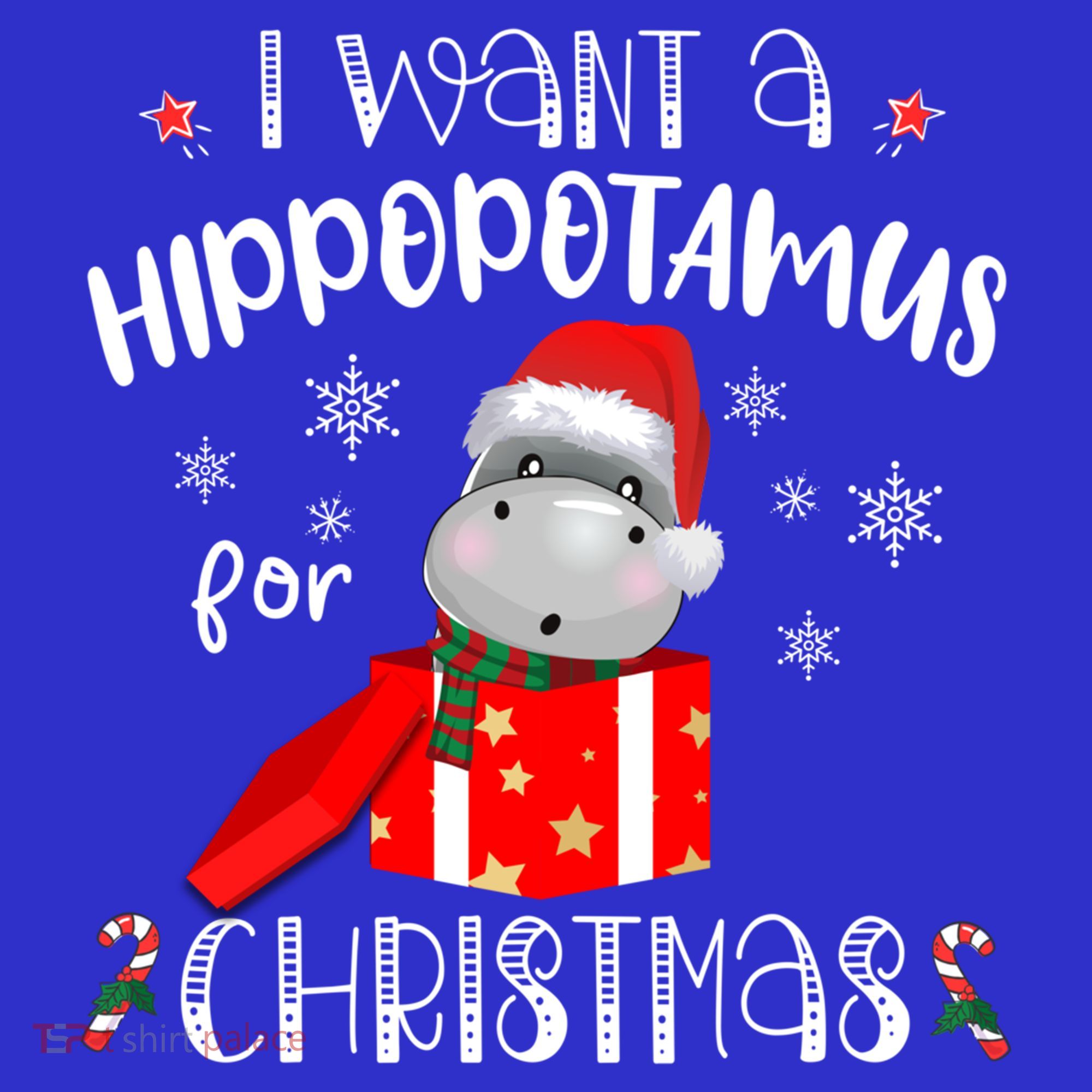 Hippopotamus For Christmas Matching Xmas Hippo Pajama Gift T-Shirt