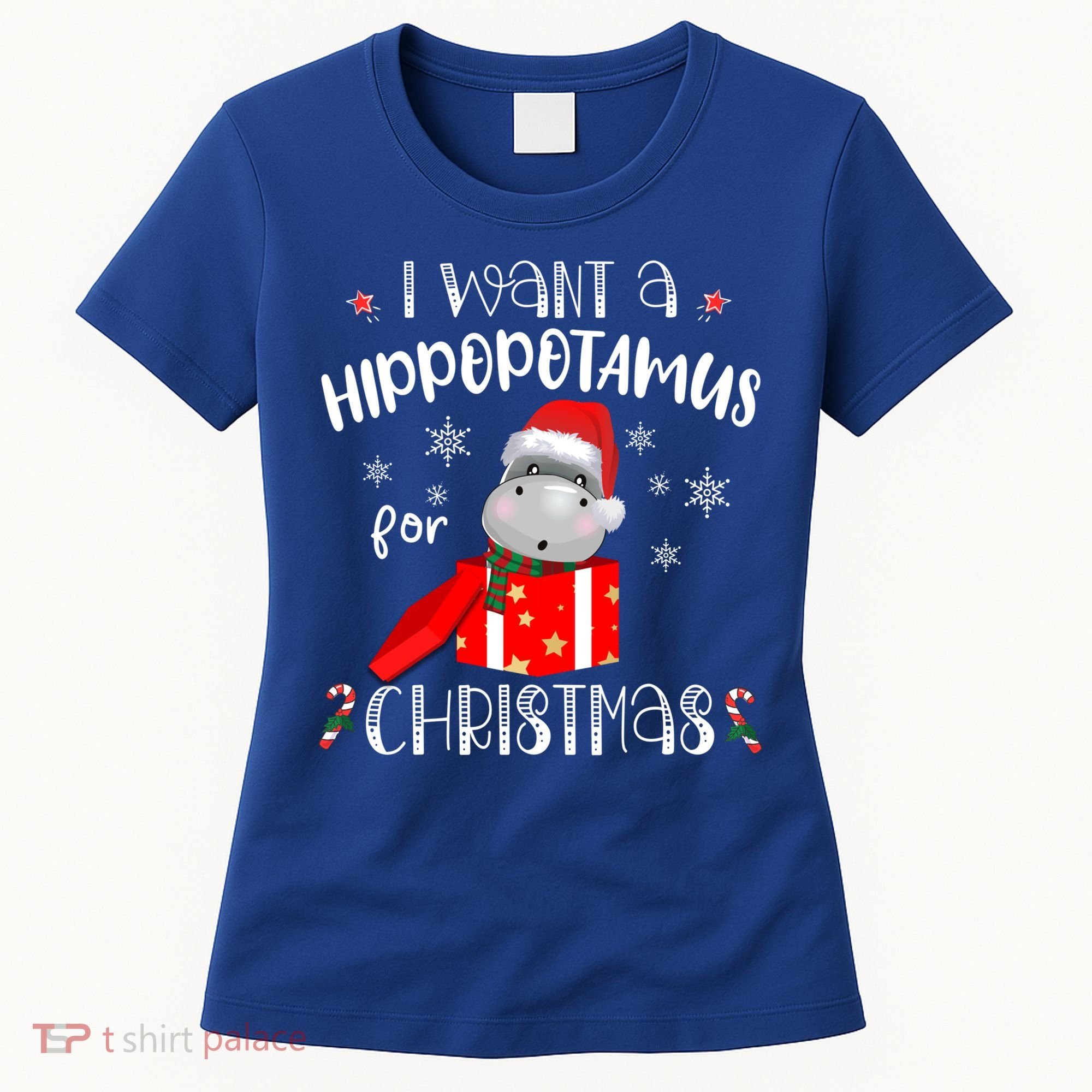 Hippopotamus For Christmas Matching Xmas Hippo Pajama Gift Women's T-Shirt