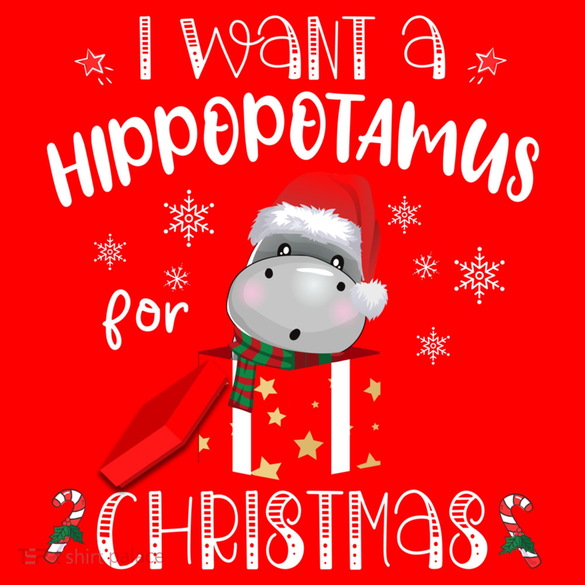 Hippopotamus For Christmas Matching Xmas Hippo Pajama Gift Santa Hat