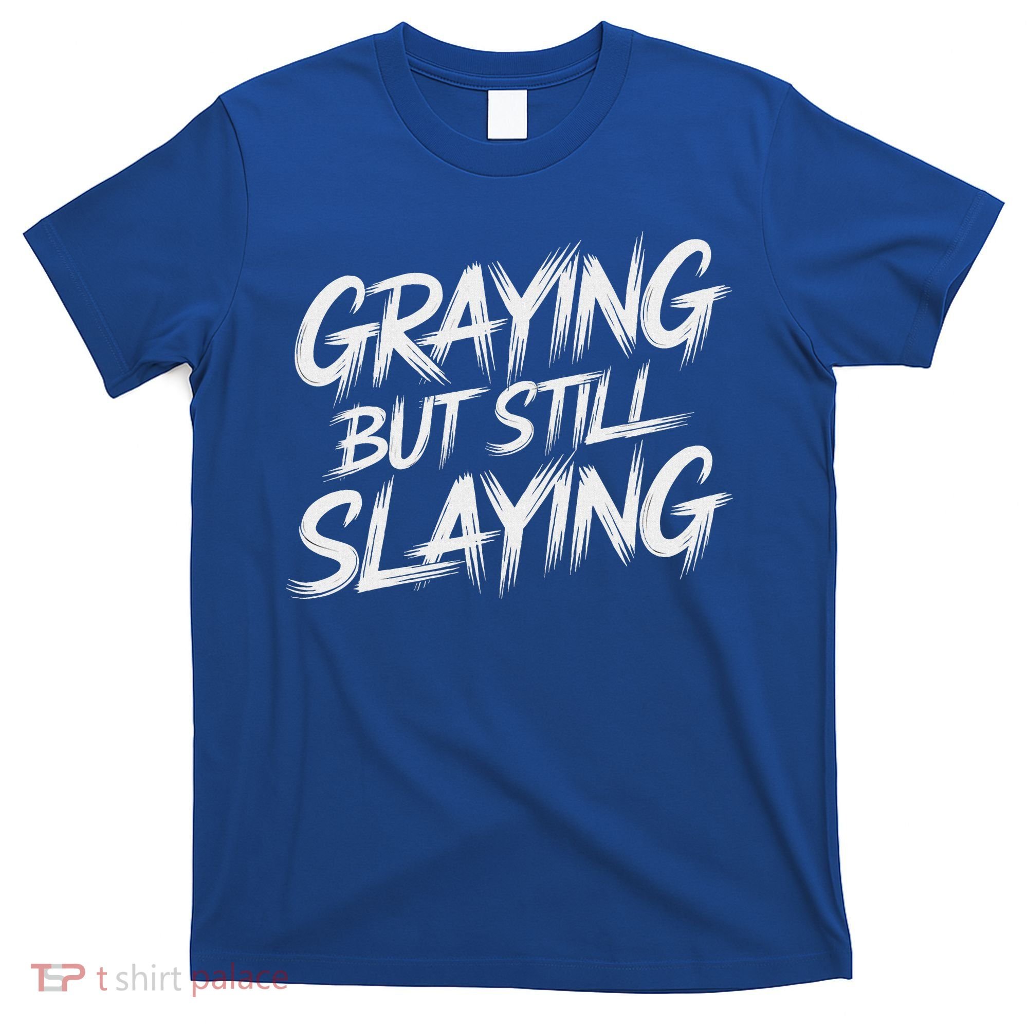 Humor For Dad Graying But Still Slaying T-Shirt