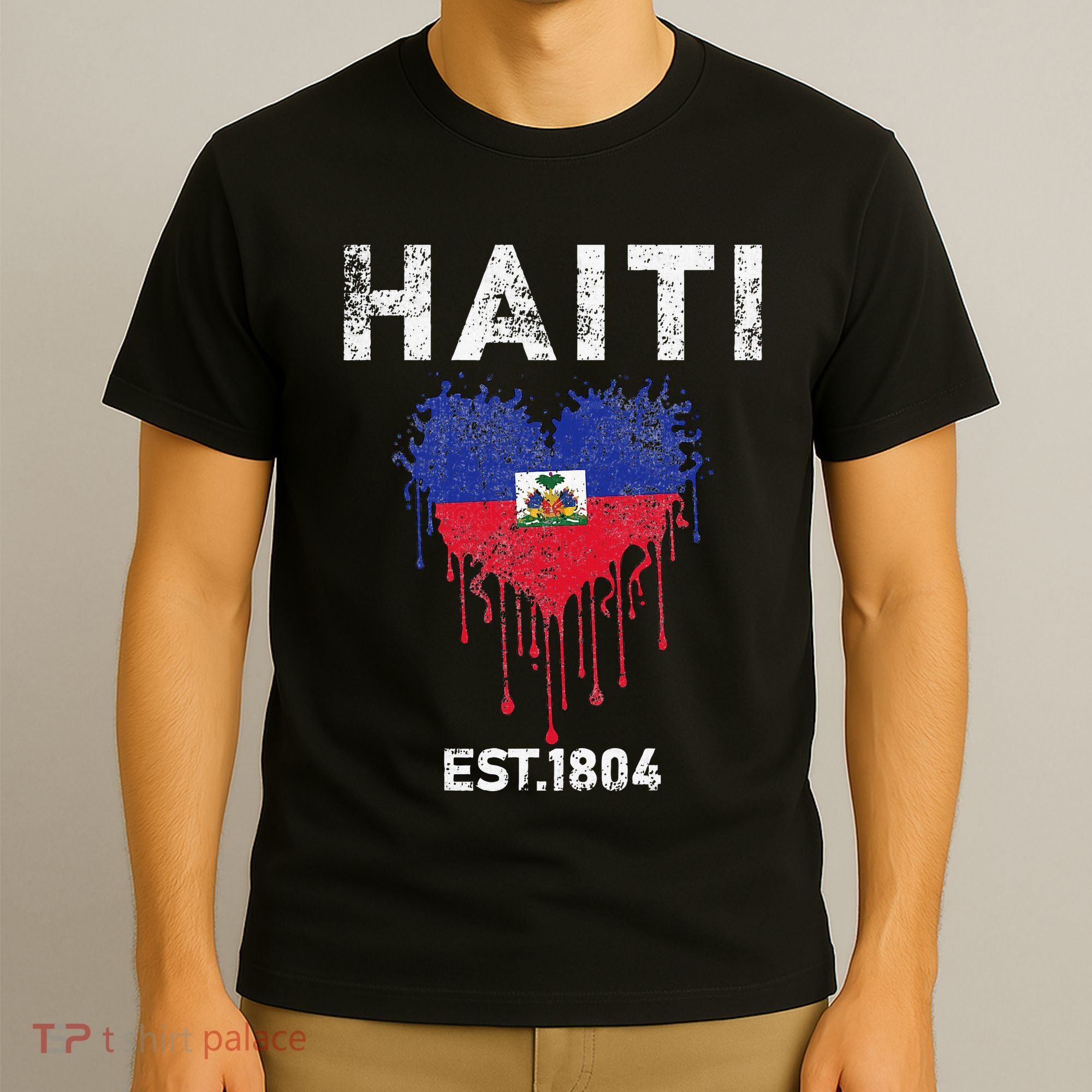 Haiti Flag Day Haitians Flag Pride T-Shirt