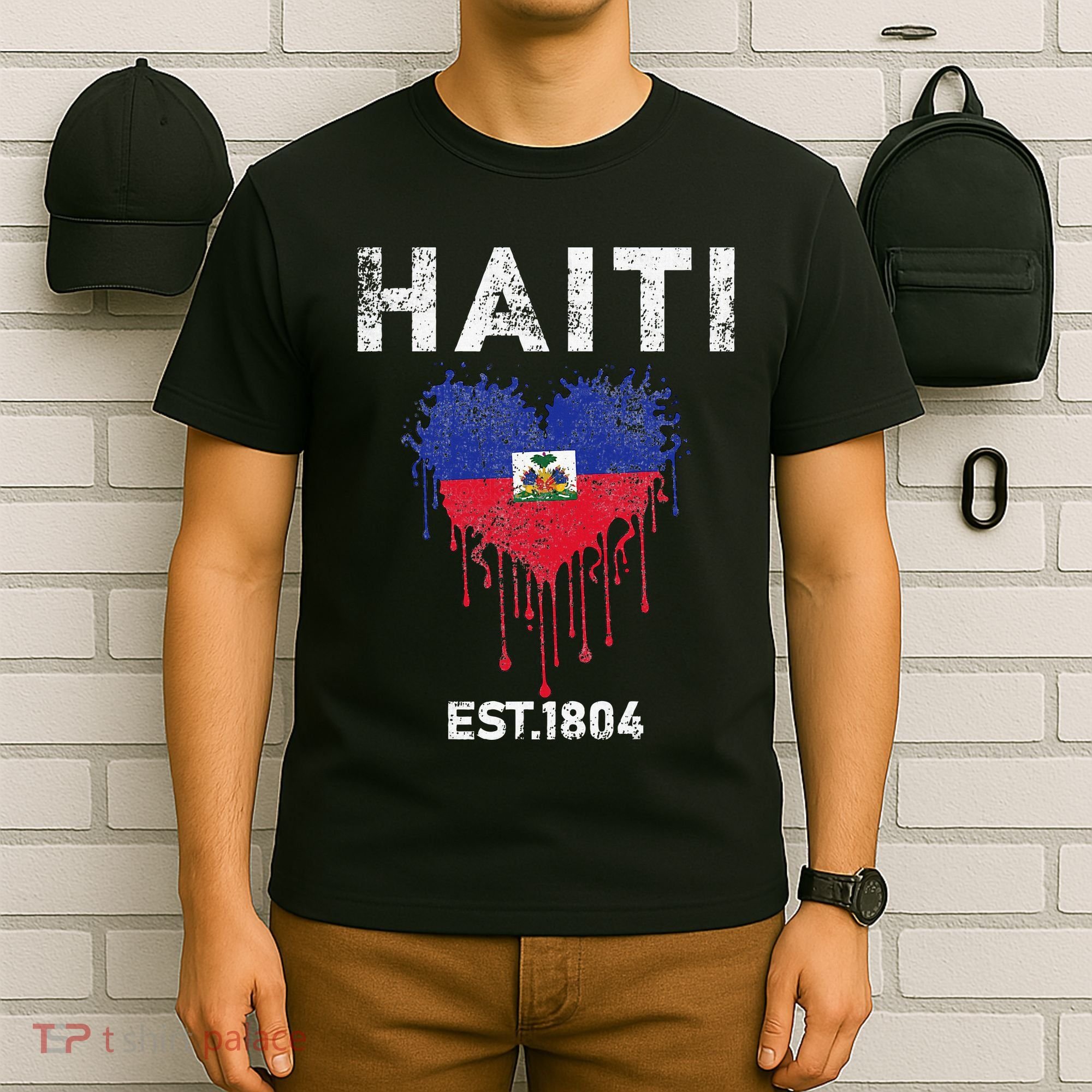 Haiti Flag Day Haitians Flag Pride T-Shirt