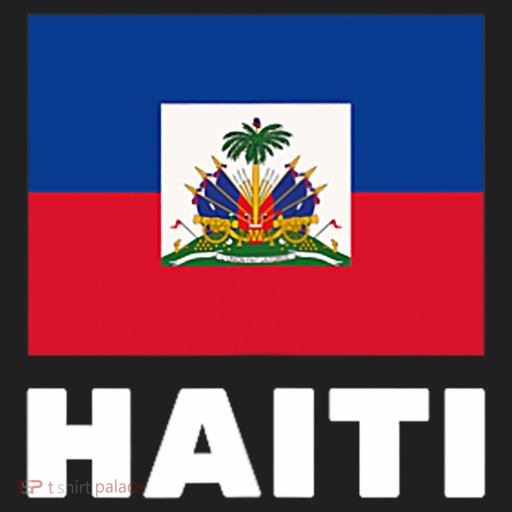 Haitian Flag Day Cool Haiti Flag Pride Beanie