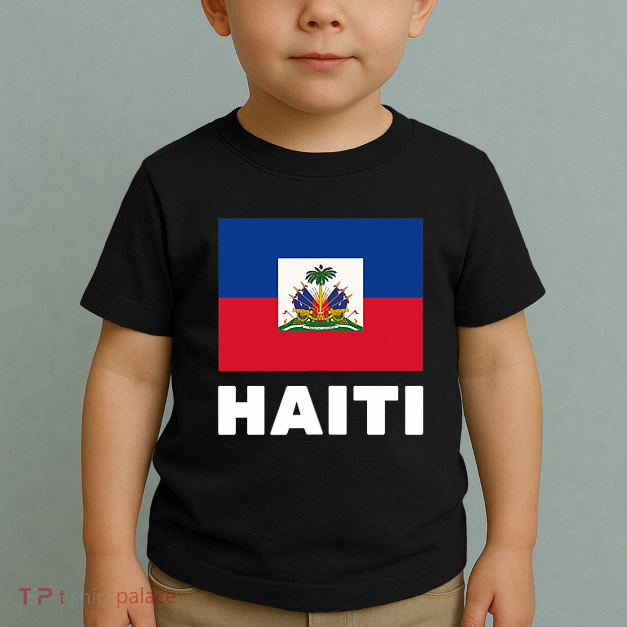 Haitian Flag Day Cool Haiti Flag Pride Toddler T-Shirt