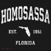 Homosassa Florida Fl Vintage Athletic T-Shirt thumb 7