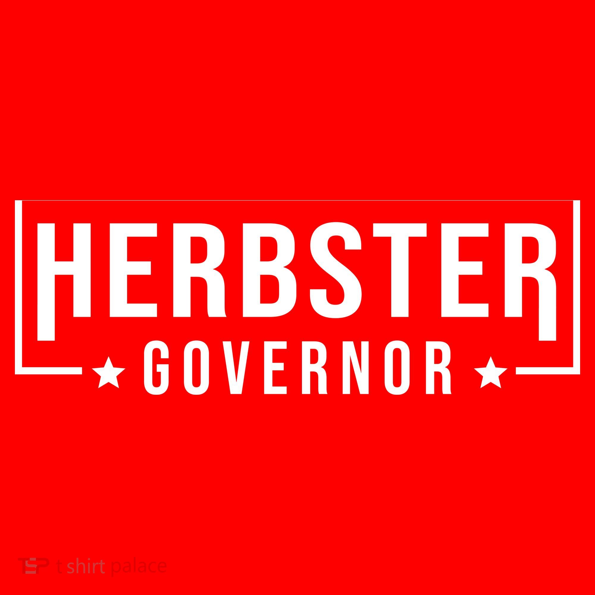 Herbster For Governor Hat