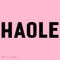 Haole Funny Hawaii White Hawaiian Pidgin Unisex Coaster thumb 2