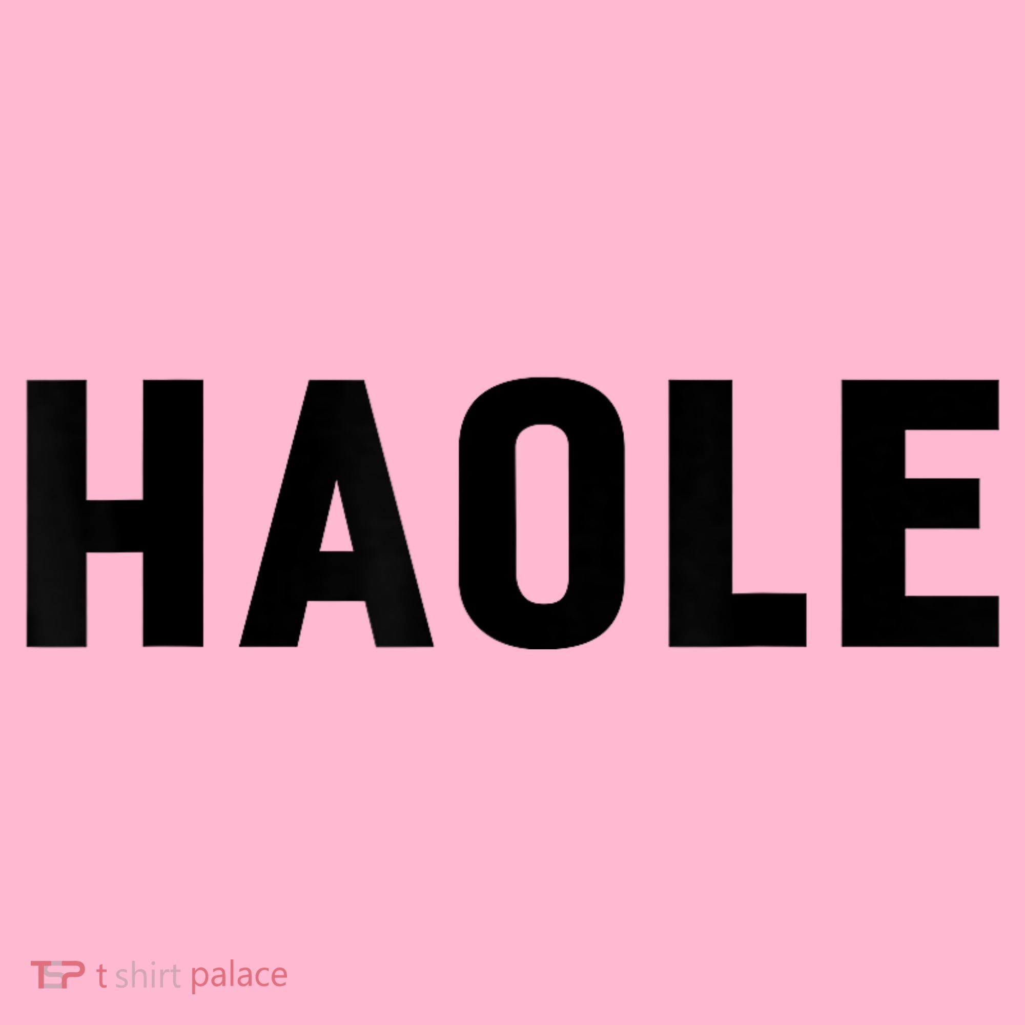 Haole Funny Hawaii White Hawaiian Pidgin Unisex Coaster