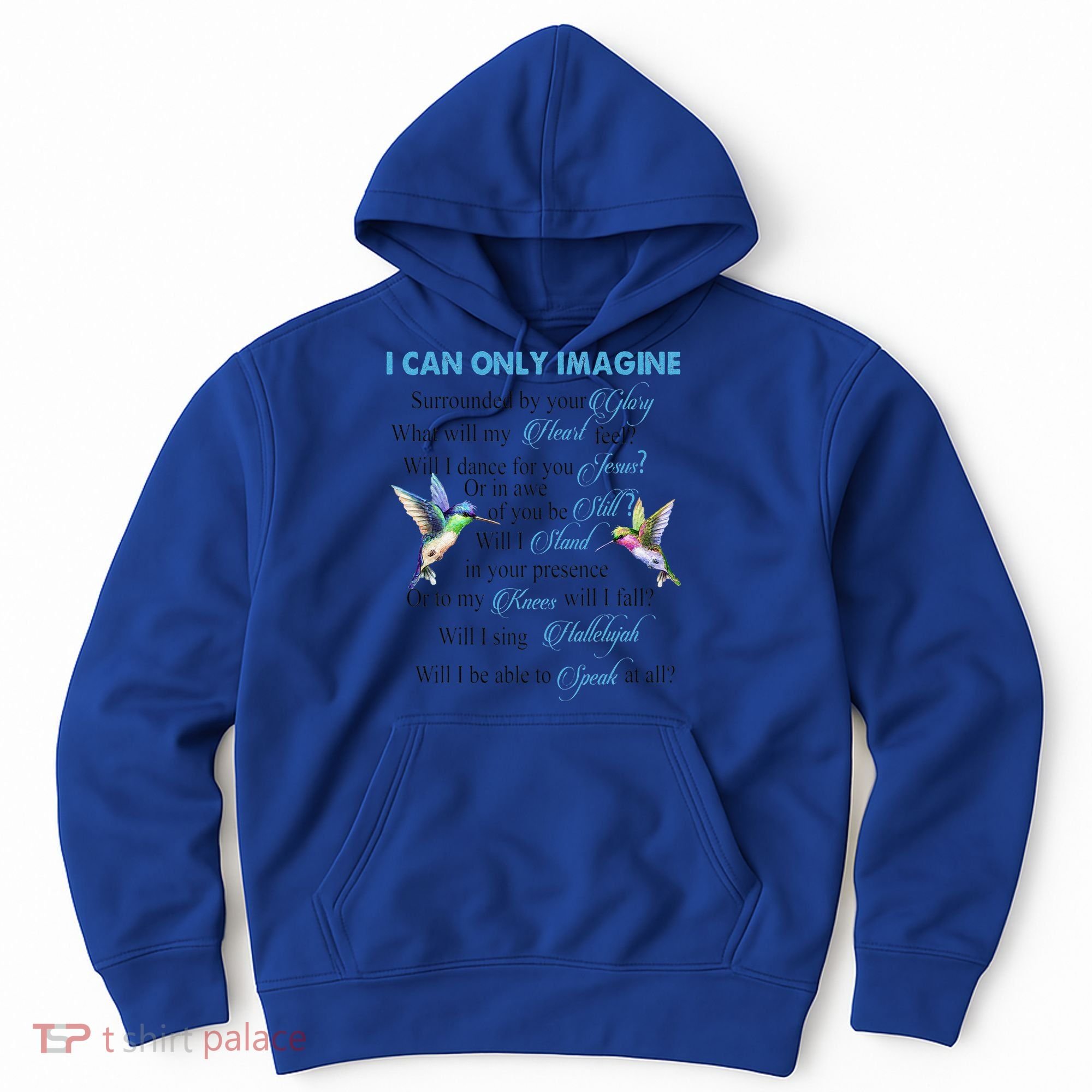 Hummingbirds Faith Jesus I Can Imagine Christian Religious Hoodie