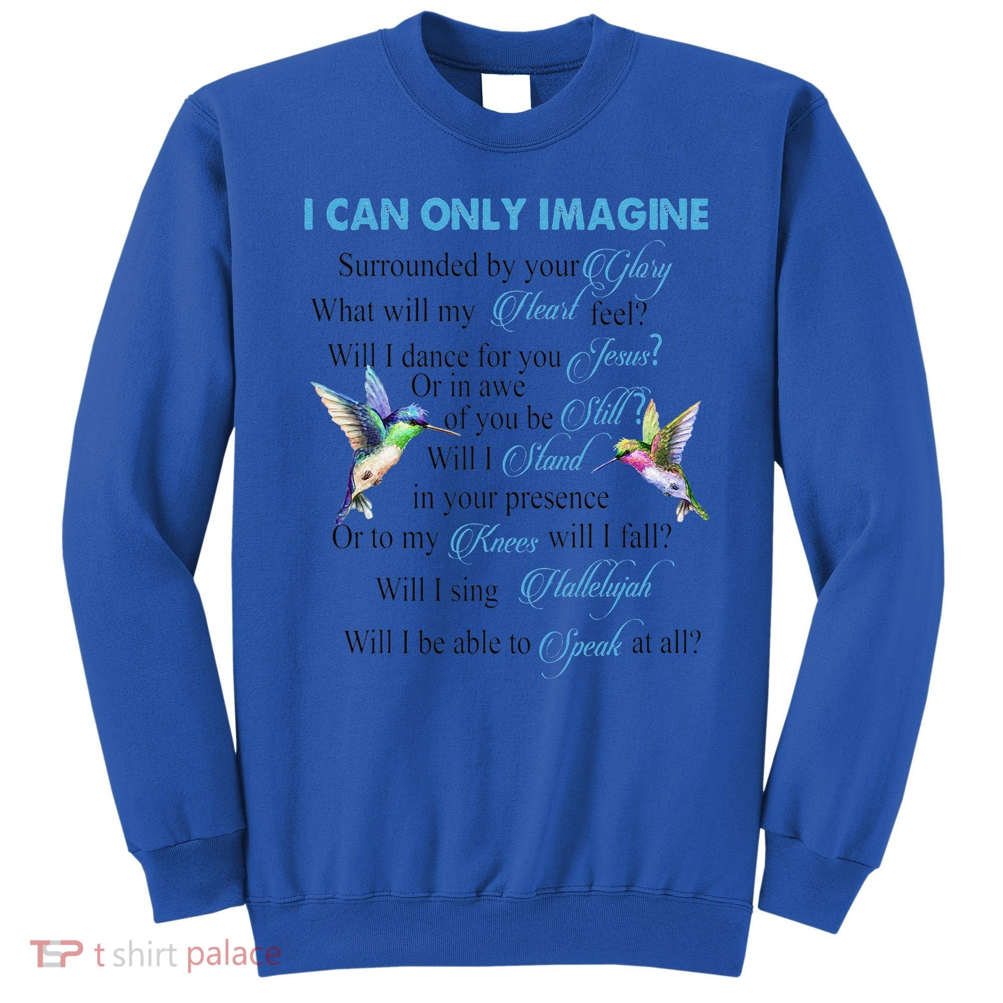 Hummingbirds Faith Jesus I Can Imagine Christian Religious Sweatshirt