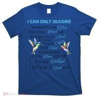 Hummingbirds Faith Jesus I Can Imagine Christian Religious T-Shirt thumb 0