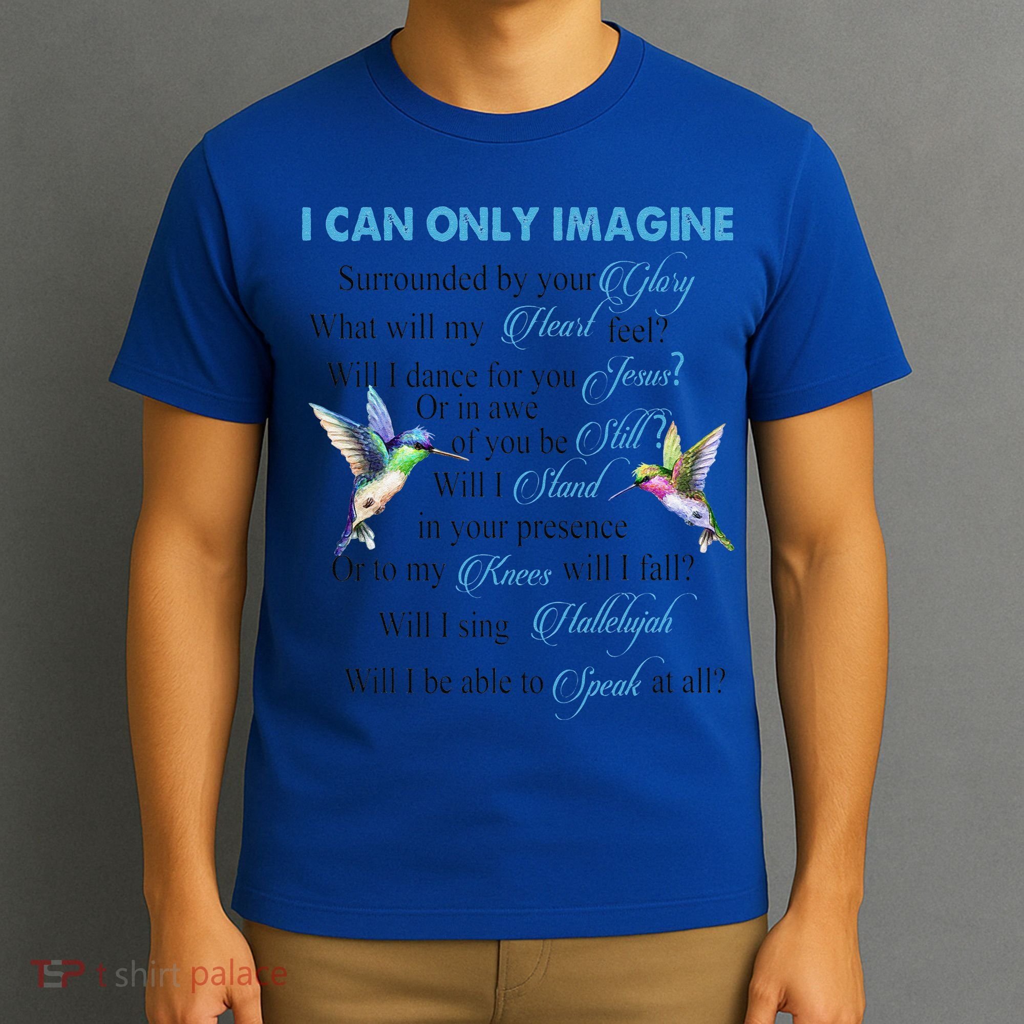 Hummingbirds Faith Jesus I Can Imagine Christian Religious T-Shirt