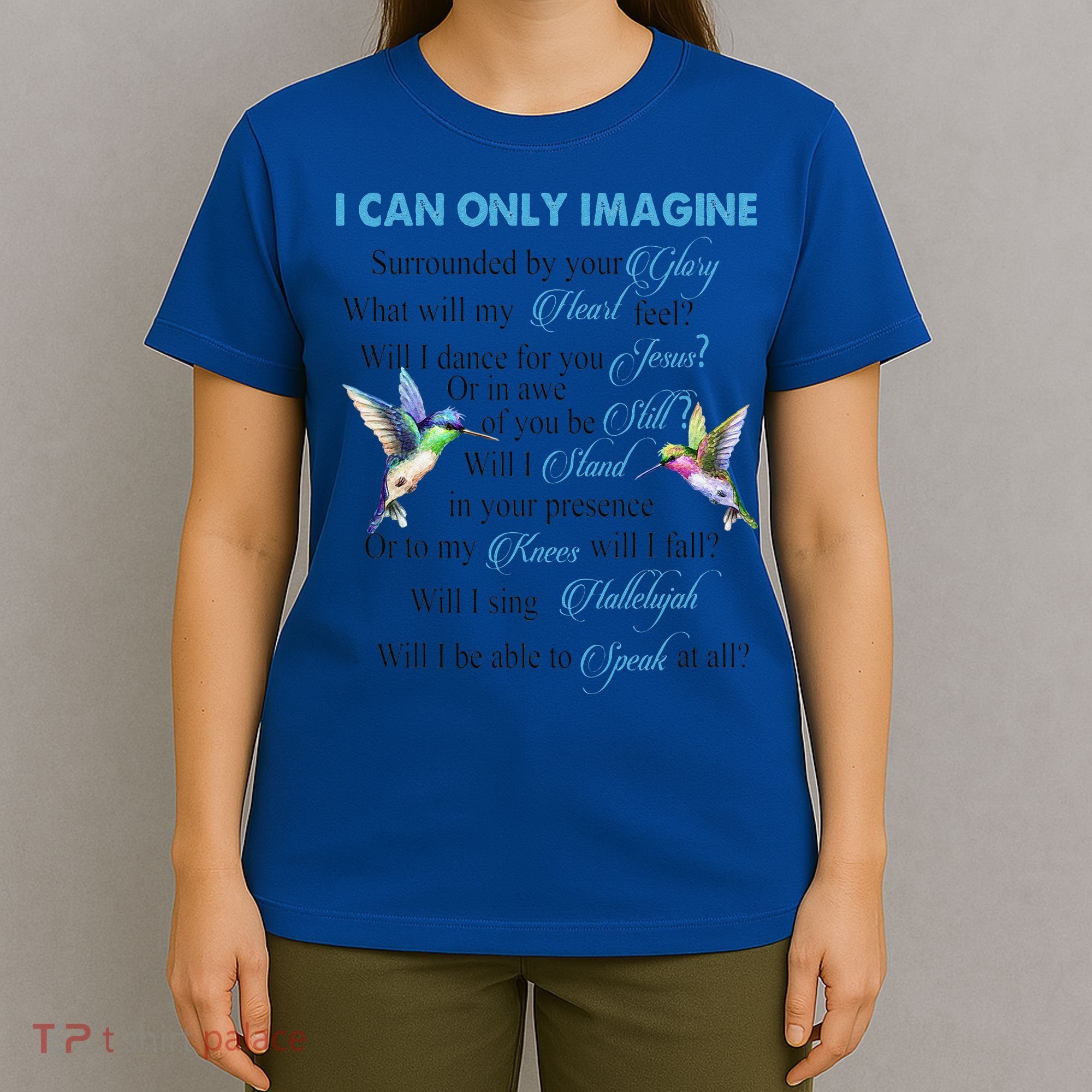 Hummingbirds Faith Jesus I Can Imagine Christian Religious T-Shirt