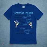 Hummingbirds Faith Jesus I Can Imagine Christian Religious T-Shirt thumb 5