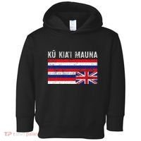 Hawaiian Flag Protest Protect Mauna Kea Ku Kiai Mauna Toddler Hoodie thumb 0
