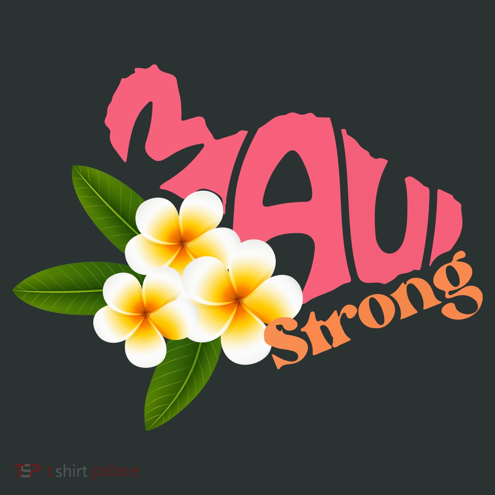 Hawaii Fires Pray For Maui Hawaii Strong Gift Women's T-Shirt