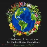 Healing For The Nations Revelations 222 Tank Top thumb 6