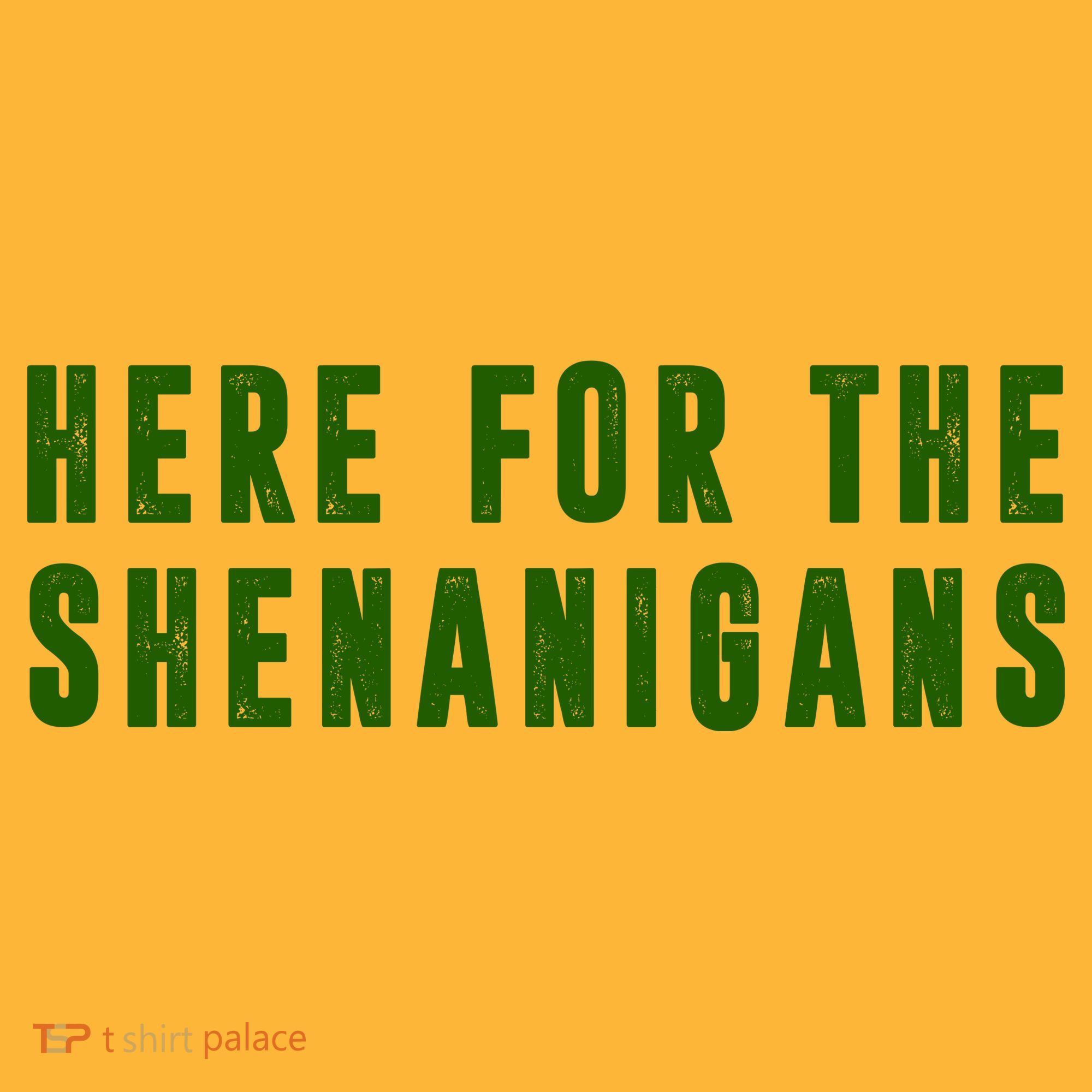 Here For The Shenanigans Kids Hoodie