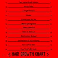 Hair Growth Chart Santa Hat thumb 1