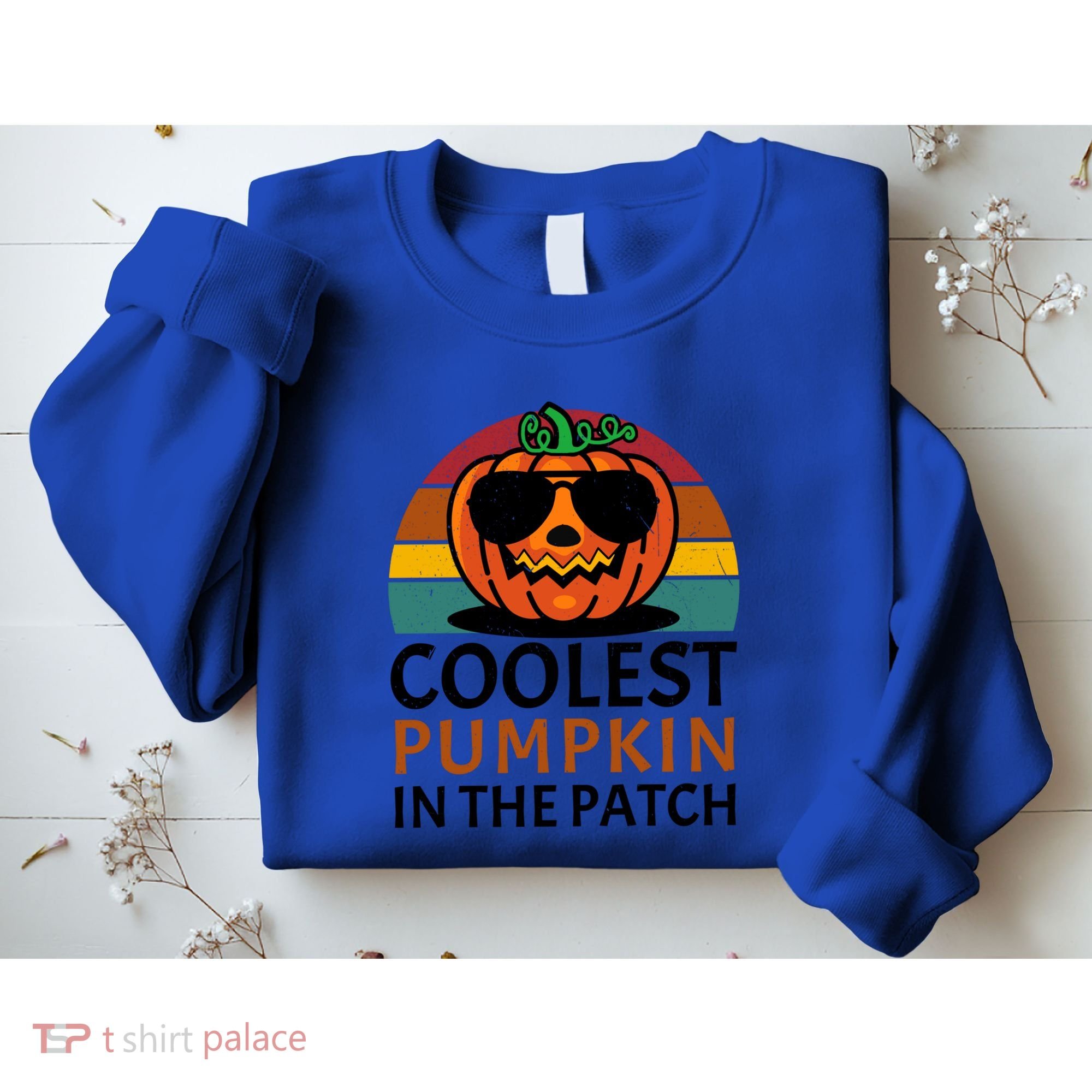 Halloween Gift Coolest Pumpkin In The Patch Gift Sweatshirt