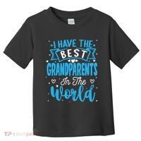 Happy Grandparents Day Funny Grandparents Day Toddler T-Shirt thumb 0