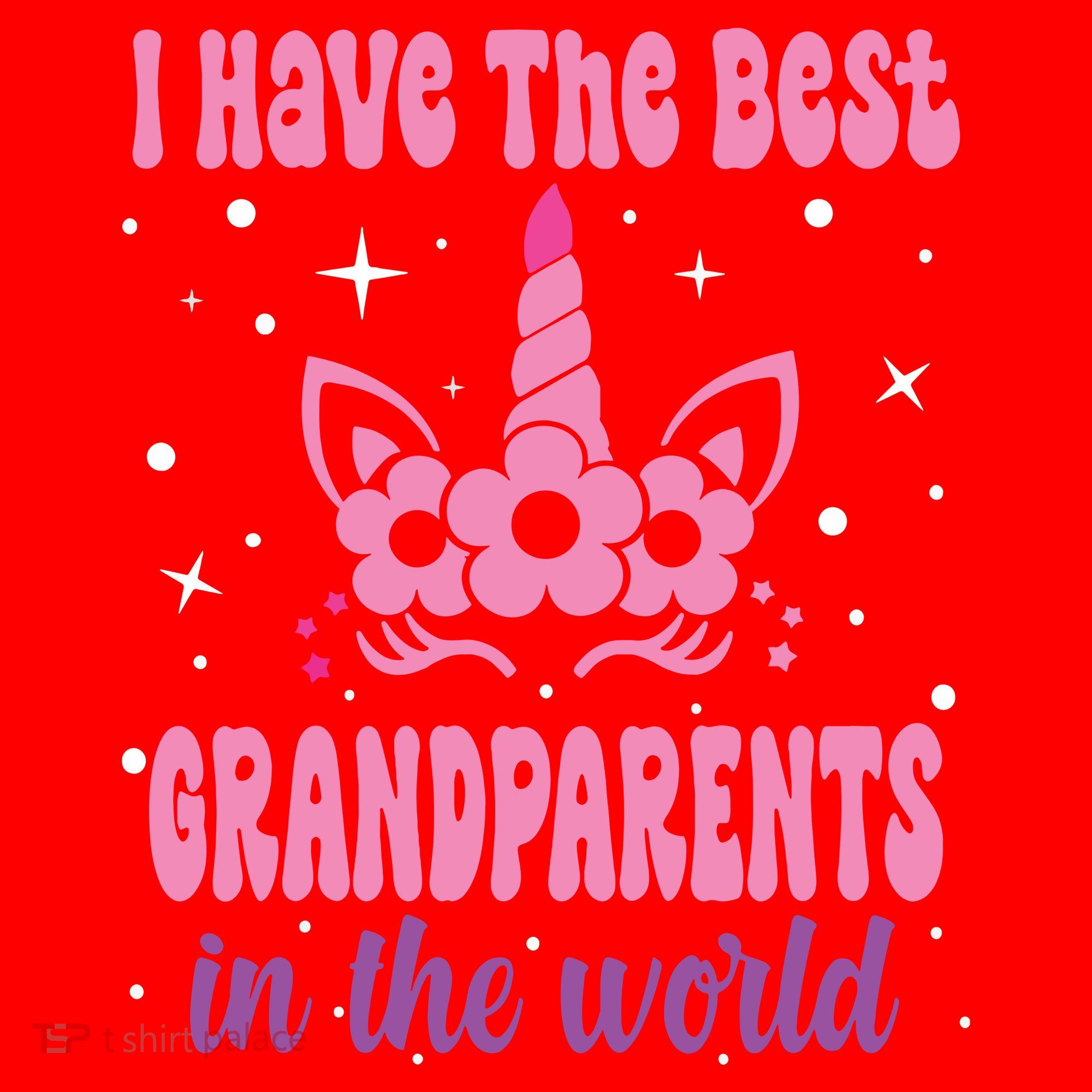 Happy Grandparents Day Funny Grandparents Day Santa Hat