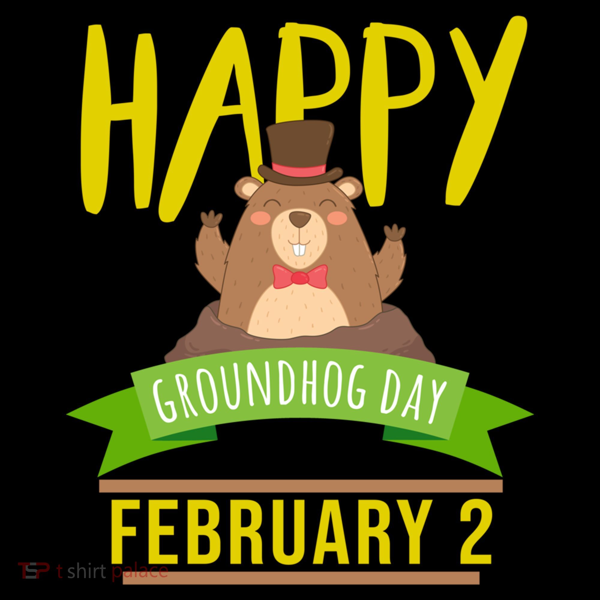 Happy Groundhog Day Respect The Groundhog Gift Women's Hoodie