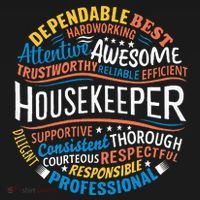 Housekeeper Gifts Funny Housekeeping Week Appreciation T-Shirt thumb 7