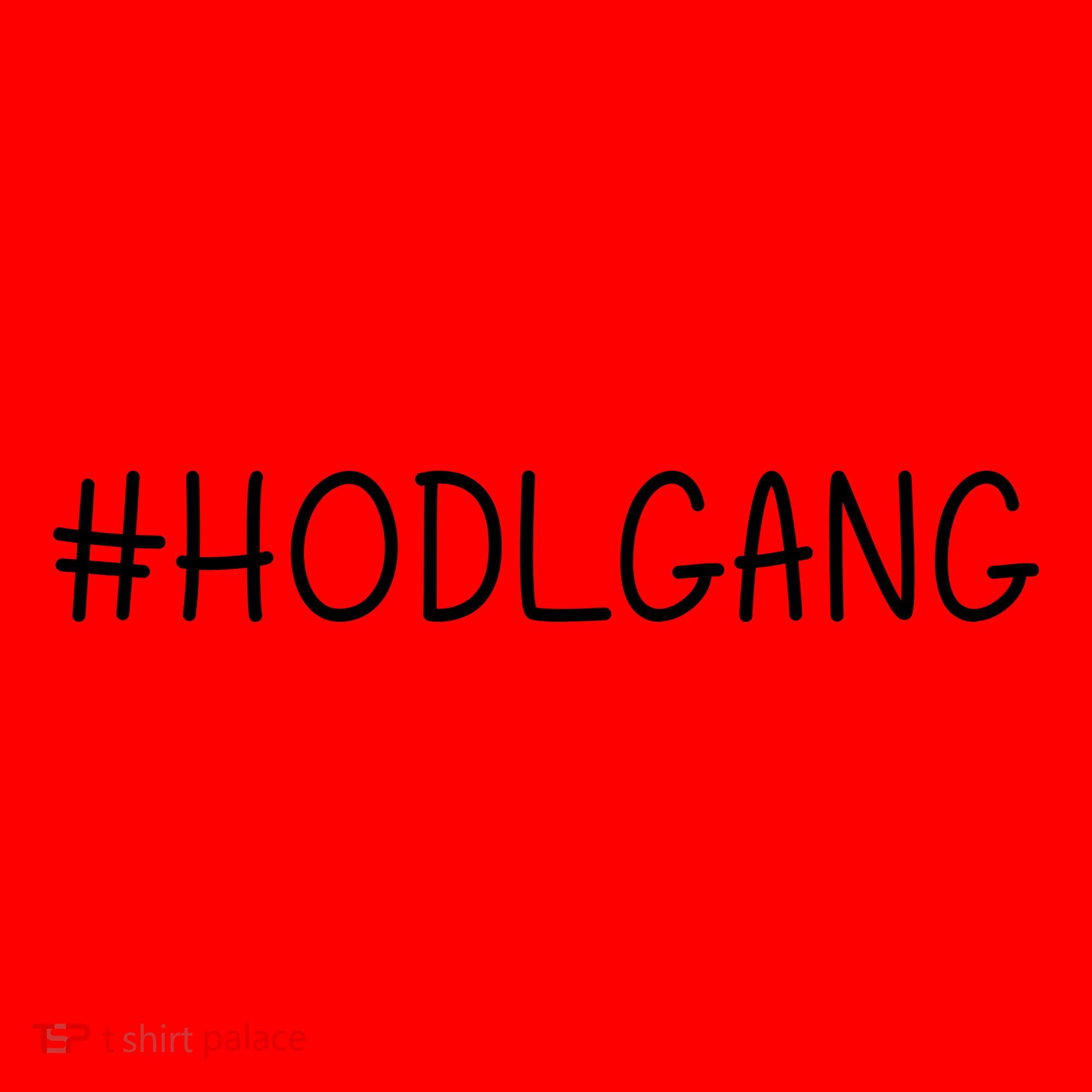 Hodl Gang Funny Crypto Gift Santa Hat