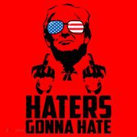 Haters Gonna Hate Donald Trump Middle Finger Funny Usa Santa Hat thumb 1