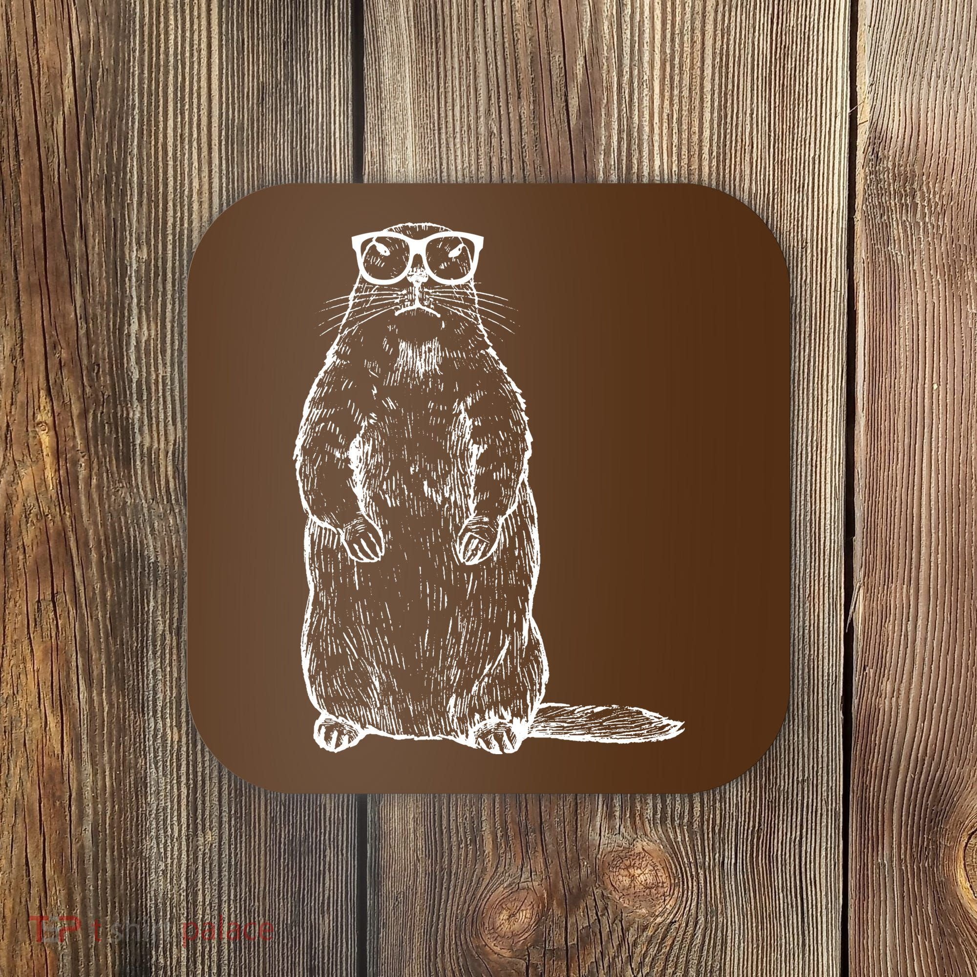 Hipster Groundhog In Nerd Glasses Coaster
