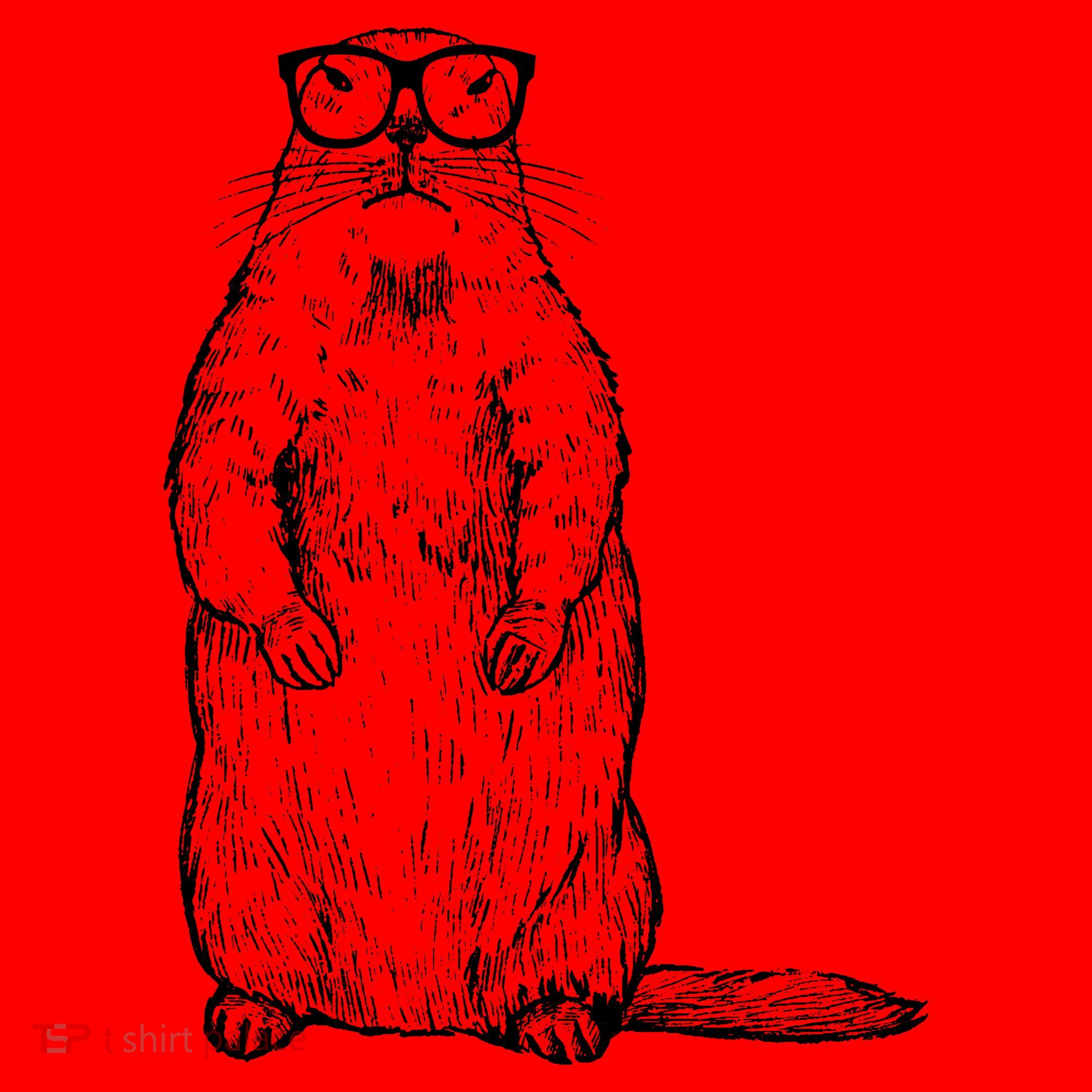 Hipster Groundhog In Nerd Glasses Santa Hat