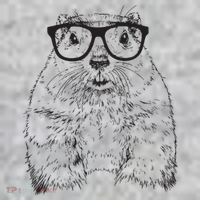 Hipster Groundhog In Nerd Glasses Animal The Baniff Cuffed Pom Beanie thumb 2