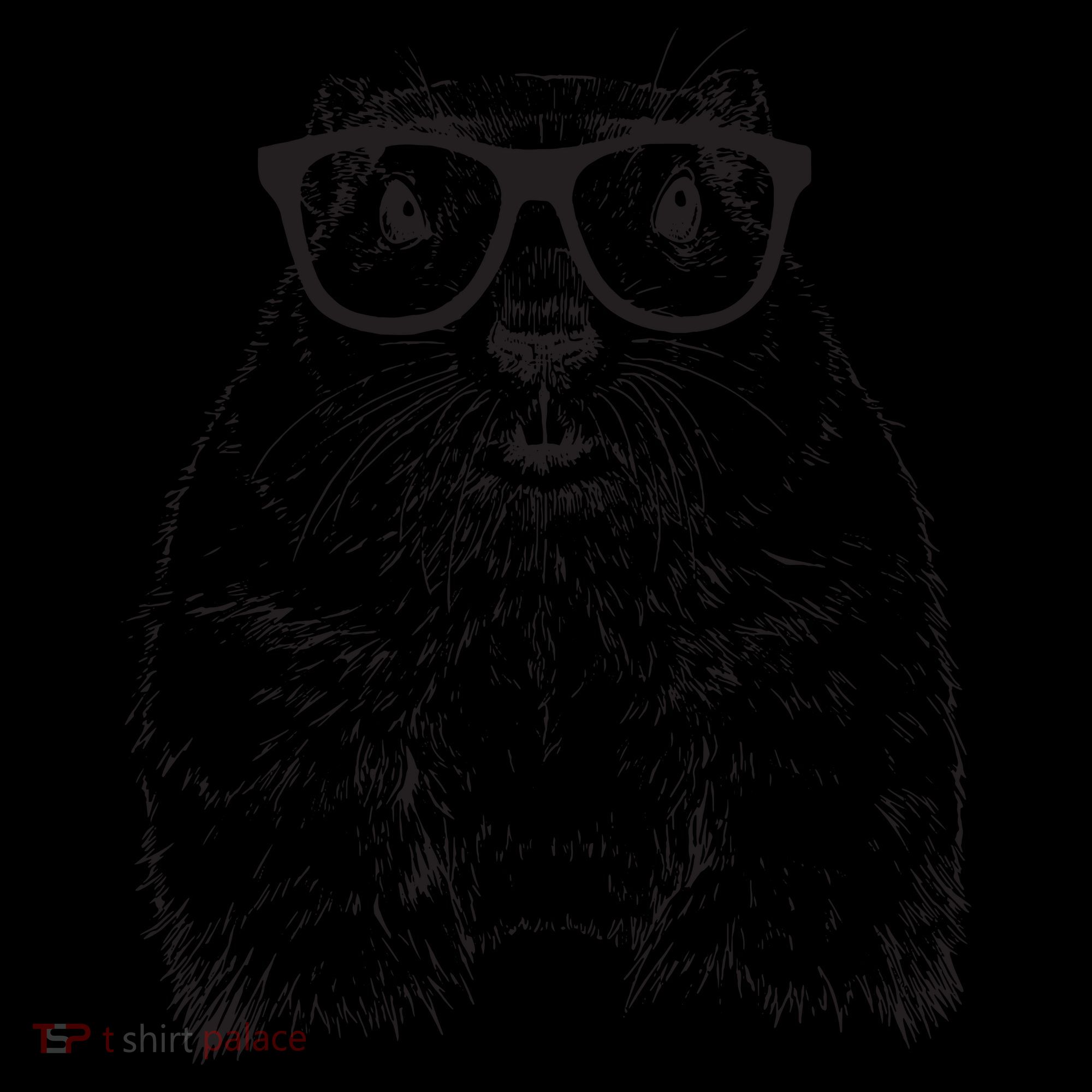 Hipster Groundhog In Nerd Glasses Animal Kids Colorblock Raglan Jersey