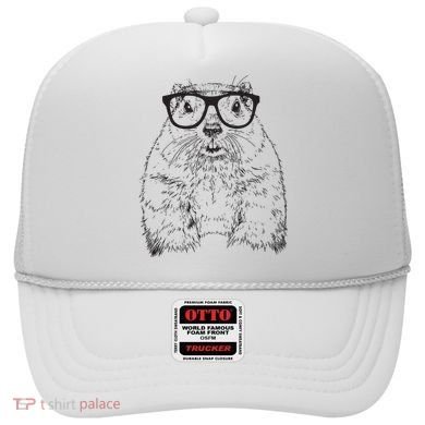 Hipster Groundhog In Nerd Glasses Animal Hat