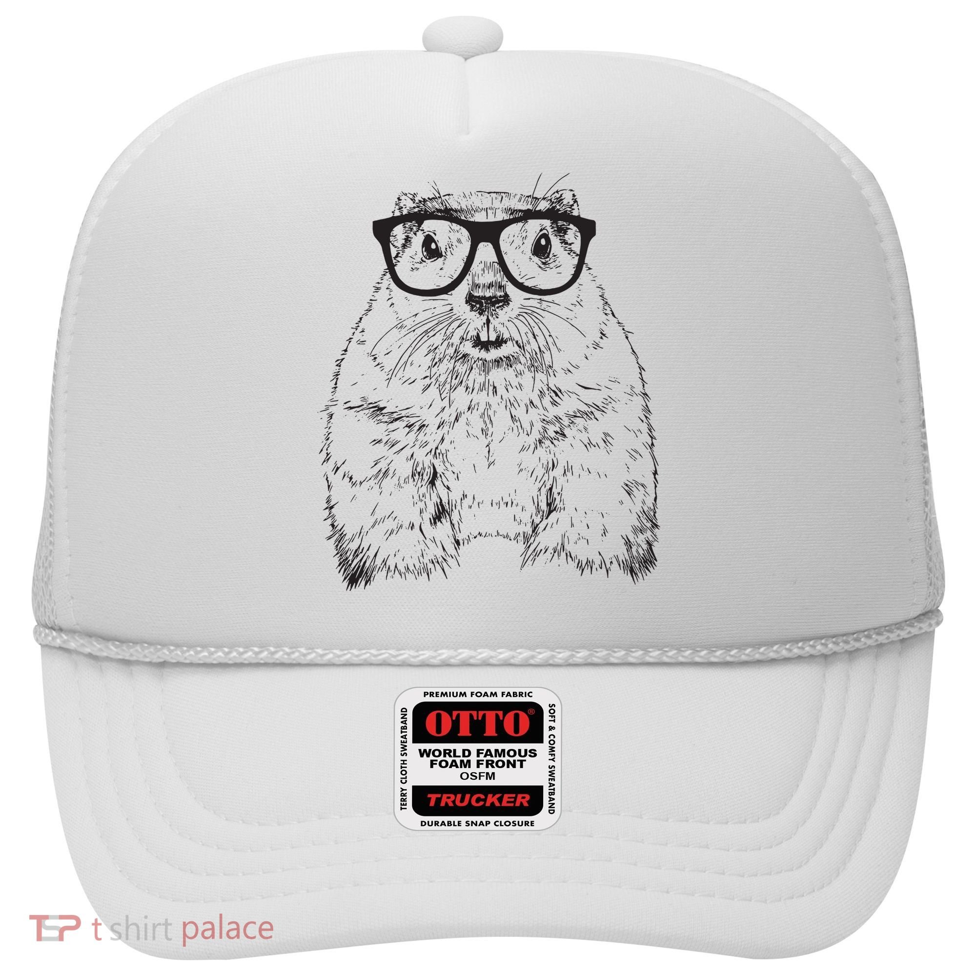 Hipster Groundhog In Nerd Glasses Animal Hat