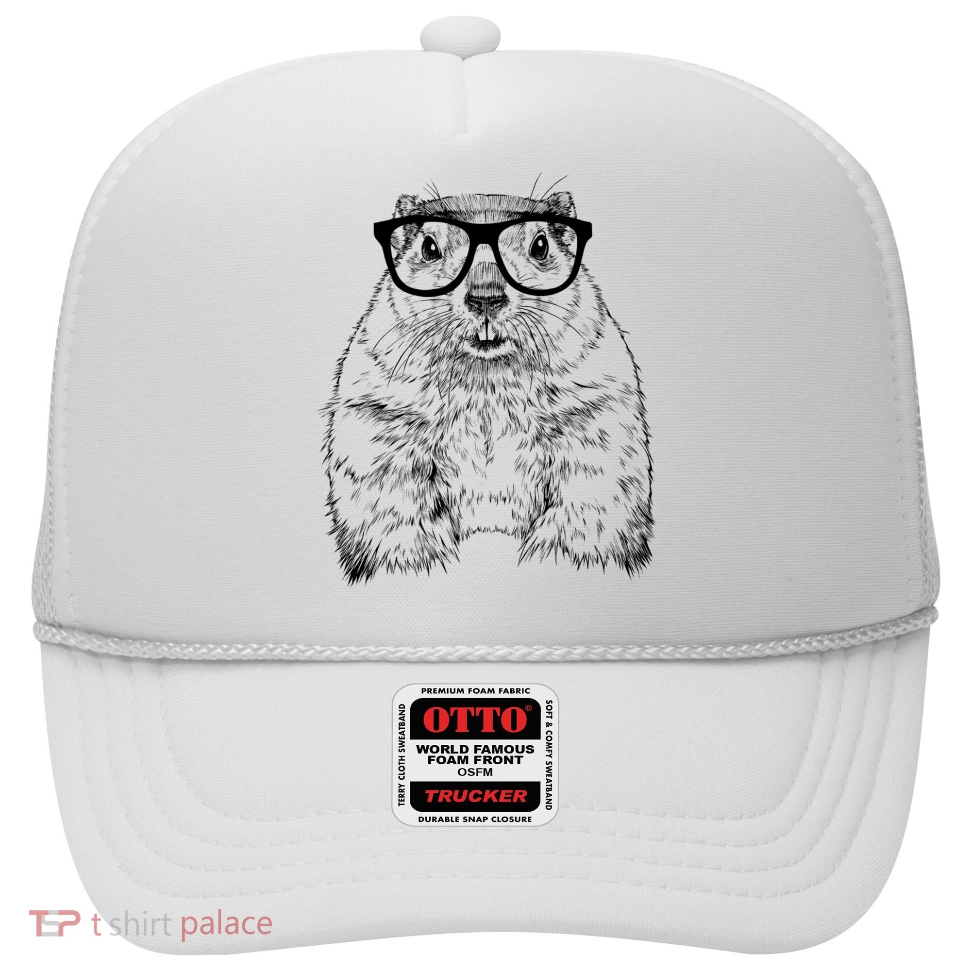 Hipster Groundhog In Nerd Glasses Animal Hat
