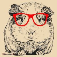 Hipster Guinea Pig In Red Glasses Pet Animal Tote Bag thumb 4