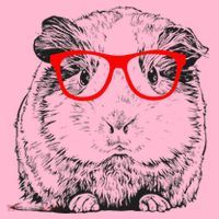Hipster Guinea Pig In Red Glasses Pet Animal Coaster thumb 2