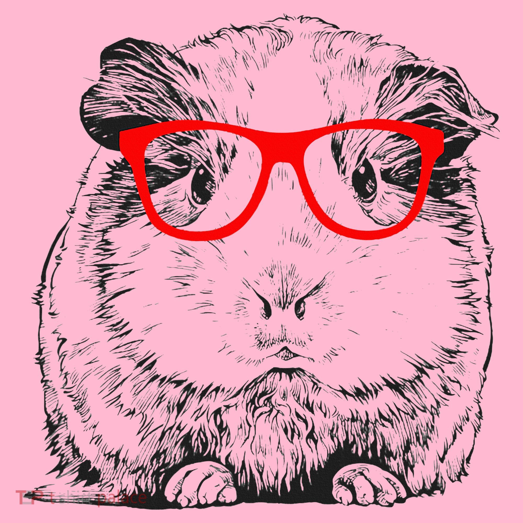 Hipster Guinea Pig In Red Glasses Pet Animal Coaster