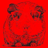 Hipster Guinea Pig In Red Glasses Pet Animal Santa Hat thumb 1