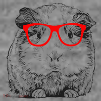 Hipster Guinea Pig In Red Glasses Pet Animal Toddler Hoodie thumb 2