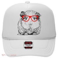 Hipster Guinea Pig In Red Glasses Pet Animal Hat thumb 0