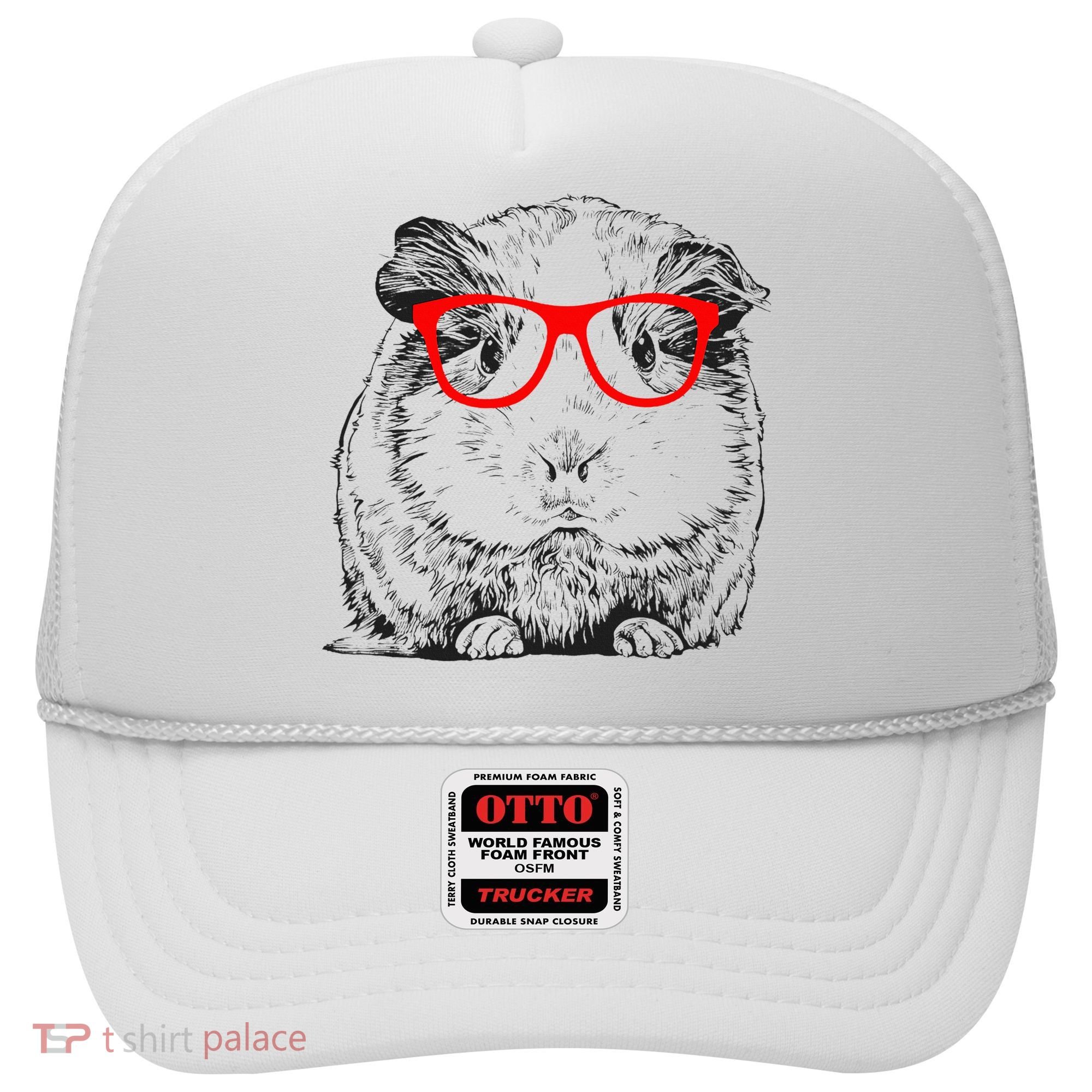 Hipster Guinea Pig In Red Glasses Pet Animal Hat