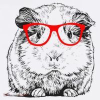 Hipster Guinea Pig In Red Glasses Pet Animal Women's T-Shirt thumb 6
