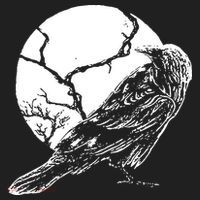 Horror Graphic Raven And Moon Tumbler thumb 3