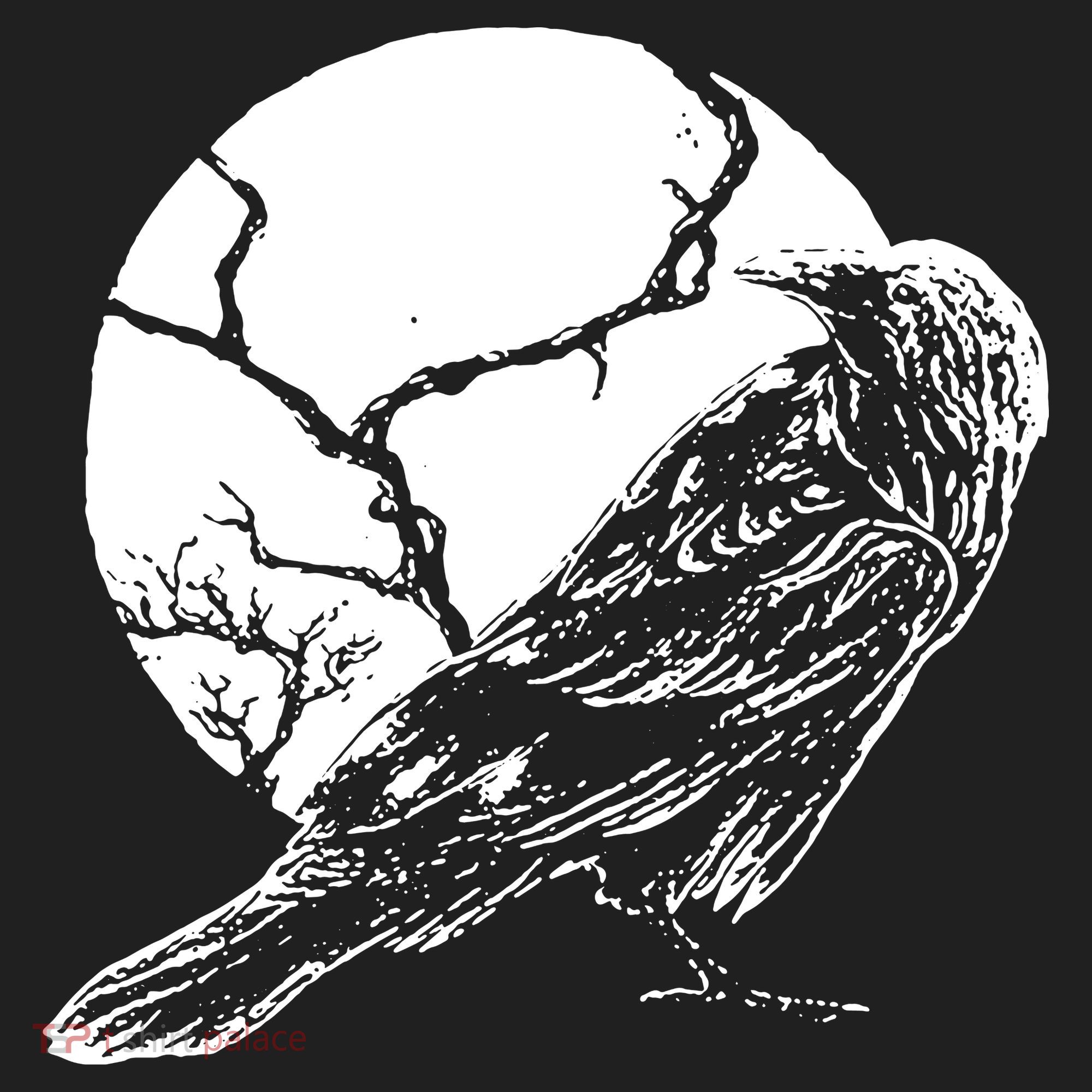 Horror Graphic Raven And Moon Tumbler