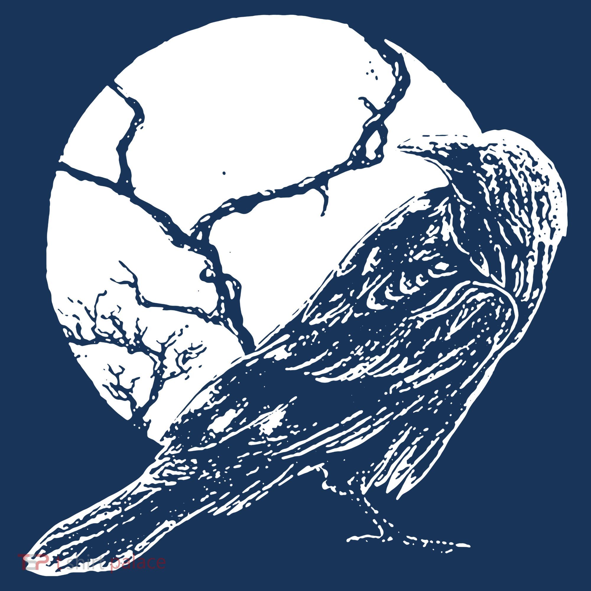 Horror Graphic Raven And Moon Women's Hoodie